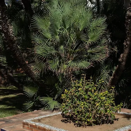 La Carihuela De Lujo Reformado Apartment *