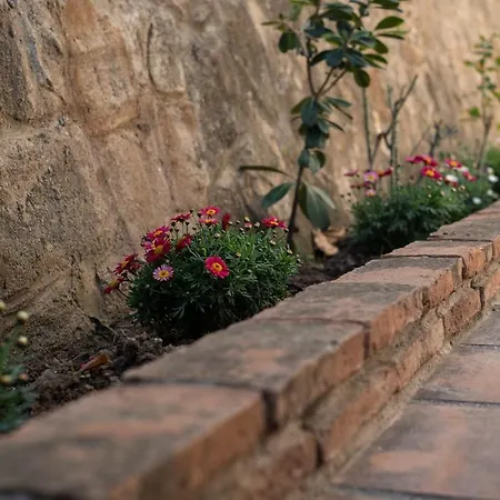 La Carihuela De Lujo Reformado Lejlighed Torremolinos