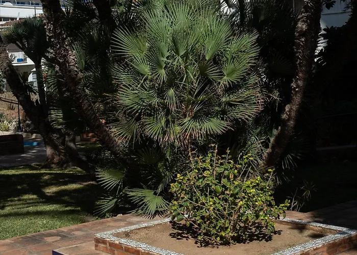 La Carihuela De Lujo Reformado Appartement *